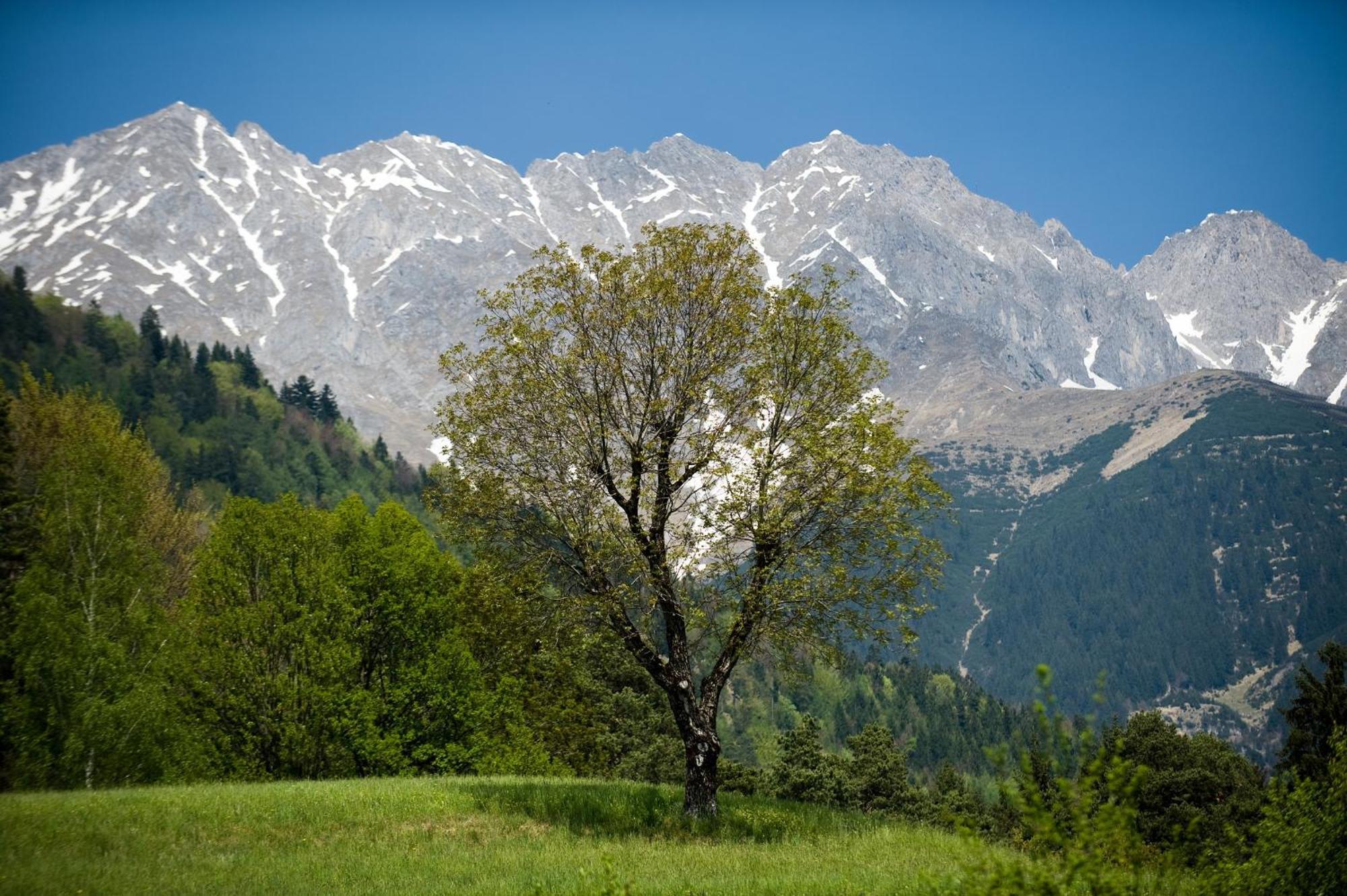 "Innsbruck Moments" Kasperhof Appartements ภายนอก รูปภาพ